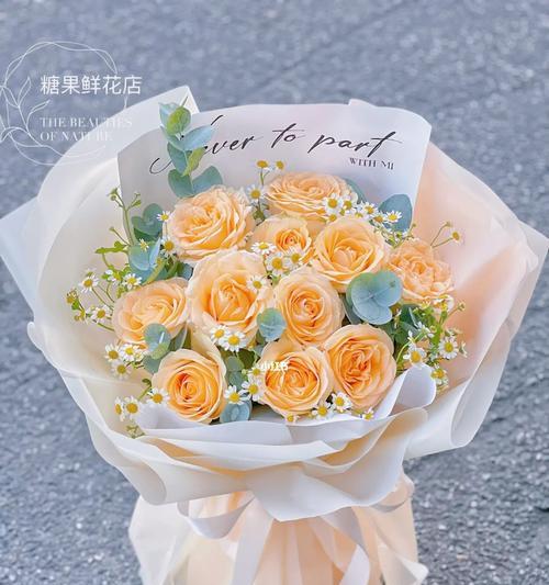 33朵香槟玫瑰的象征意义（探究香槟玫瑰所代表的情感与寓意）