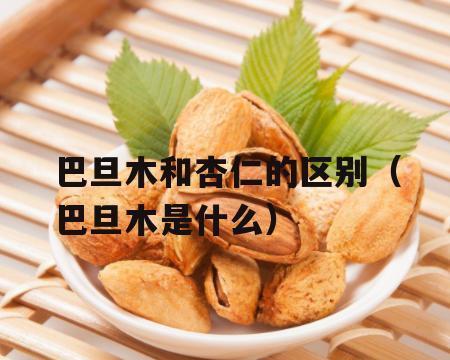 巴旦木是哪种植物的果实？它的营养价值有哪些？