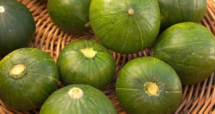 绿南瓜怎么挑选好吃的？挑选技巧有哪些？