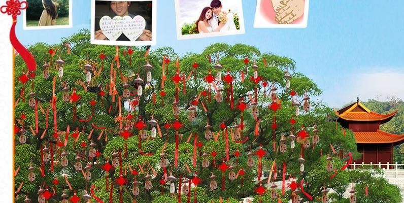 许愿树的神秘传说与象征之谜（揭秘许愿树的由来与神奇力量）