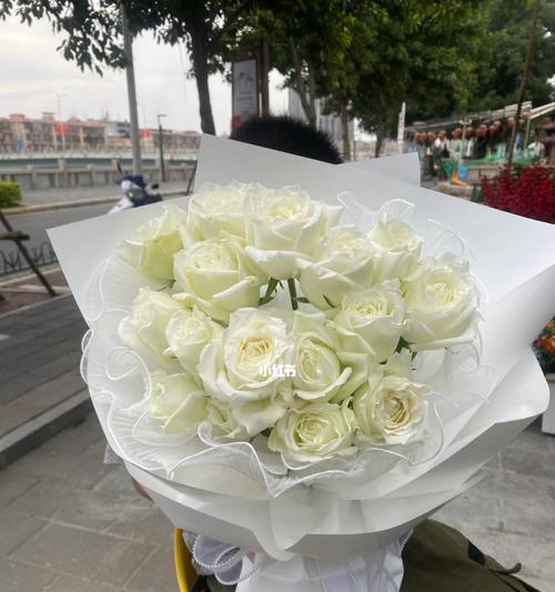 白玫瑰的花语和象征(揭秘白玫瑰的花语) 白玫瑰的花语和象征(揭秘白玫瑰的花语)