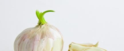 大蒜冷冻保存的正确方法是什么？冷冻后的大蒜如何使用？